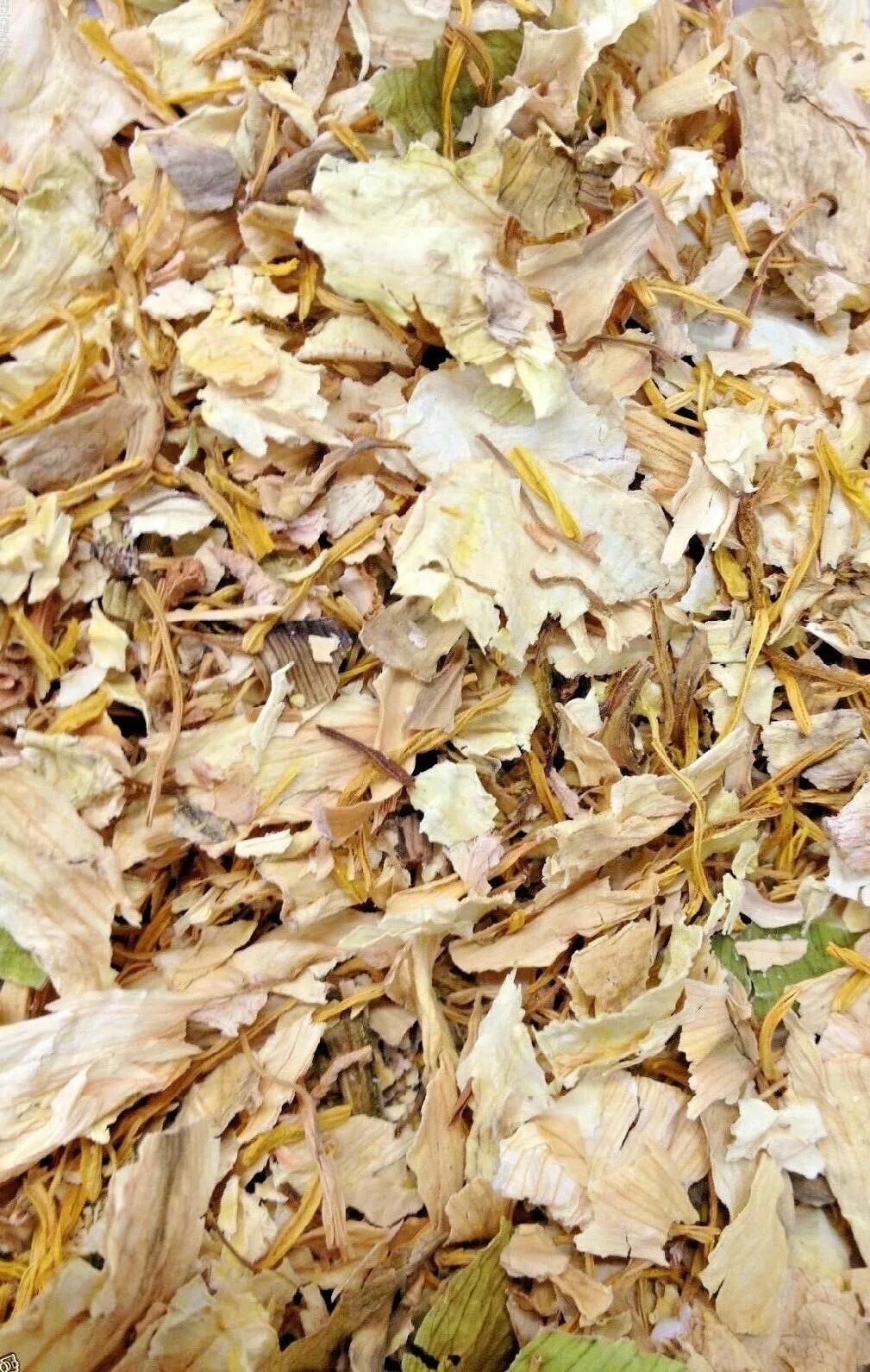 Lotus White Mellow Medicinal Potent Nice Flowers Smells Awesome 1 2 5 oz