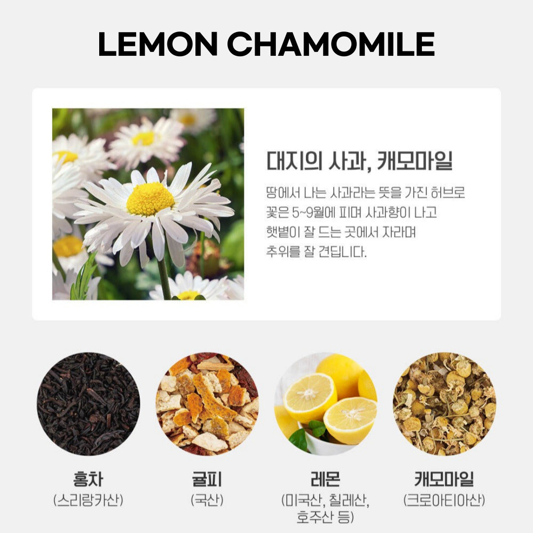 [SSANGGYE] Fruit Hug Tea Can Blended Tea With Fruit Chip