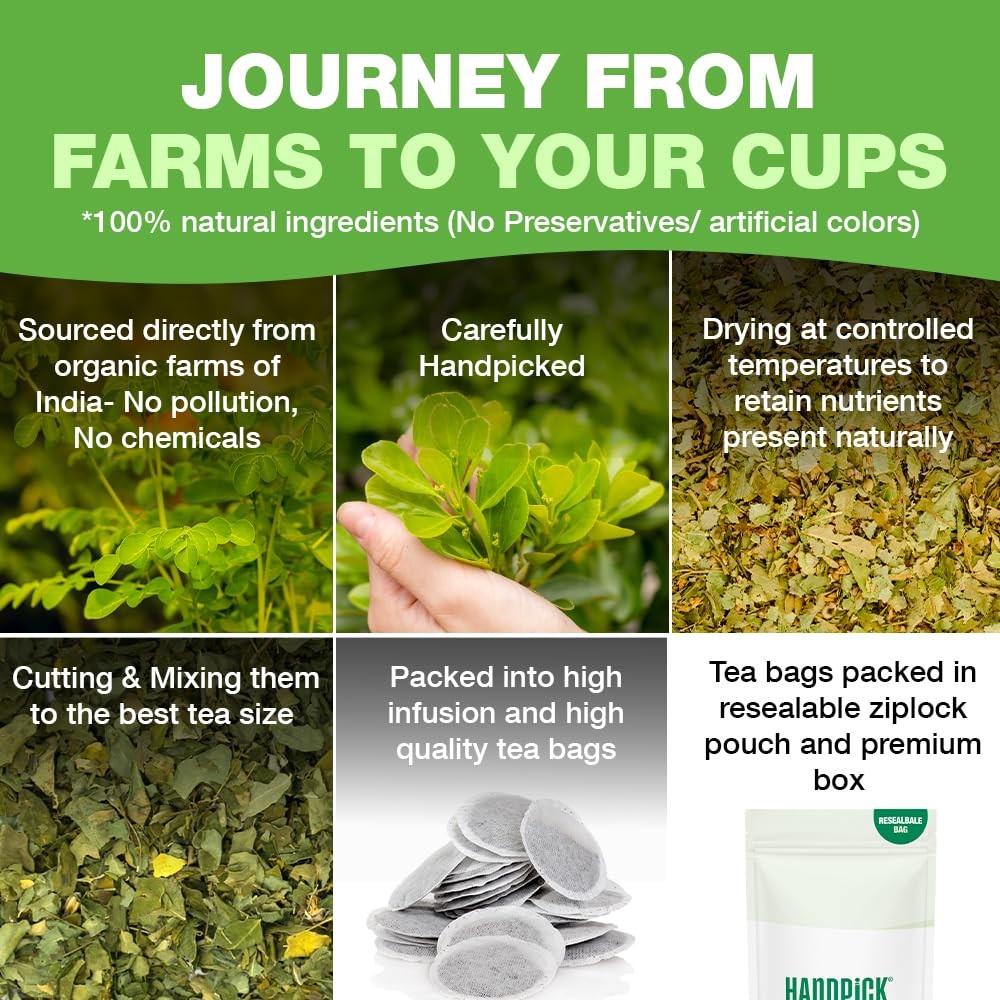 Organic Moringa Tea Bags, 100 Count | Caffeine Free, Non-GMO, Earthy Flavor