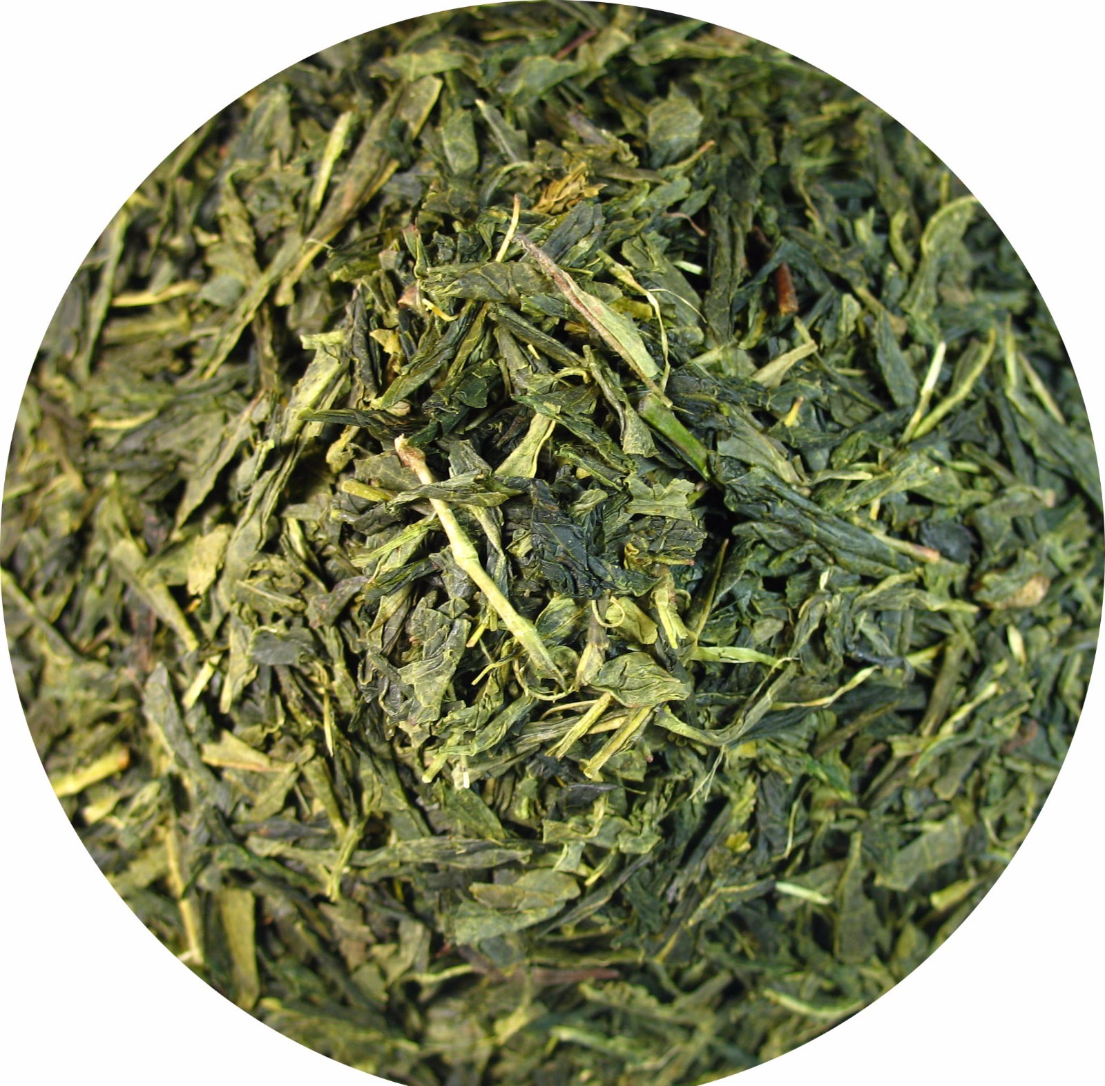 Organic Japanese style green tea premium sencha loose leaf tea wholesale4 LB bag