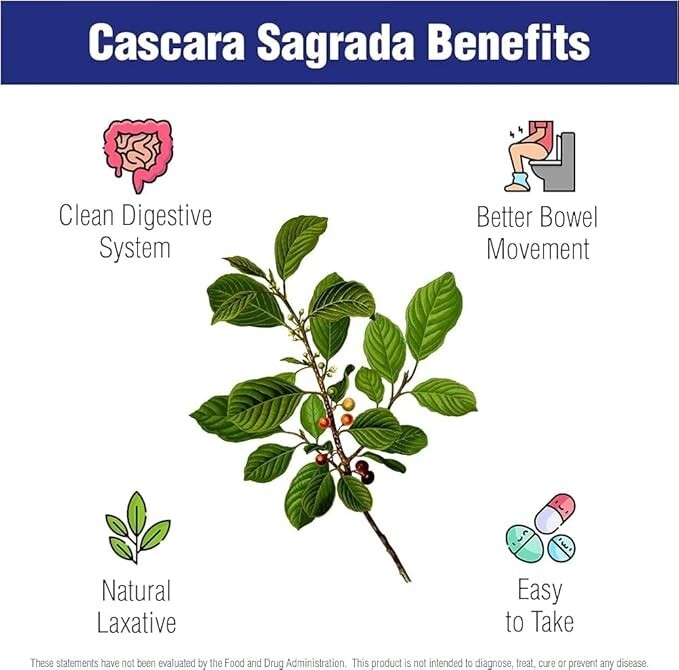 CASCARA SAGRADA Loose Tea Cascara Sagrada Bark 4 oz (113g) | Rhamnus purshiana |