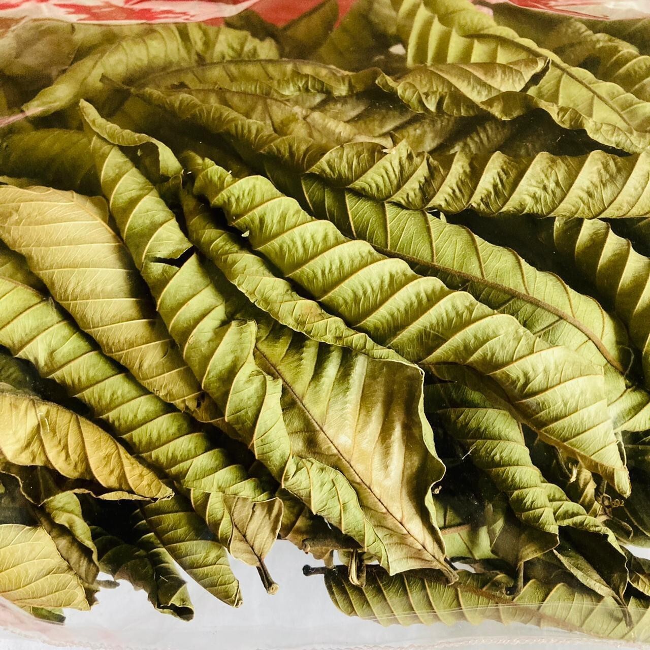 Organic Garden 30 Guava Leaves Fresh Green Dried Antidiabetic Anti Hair Lo