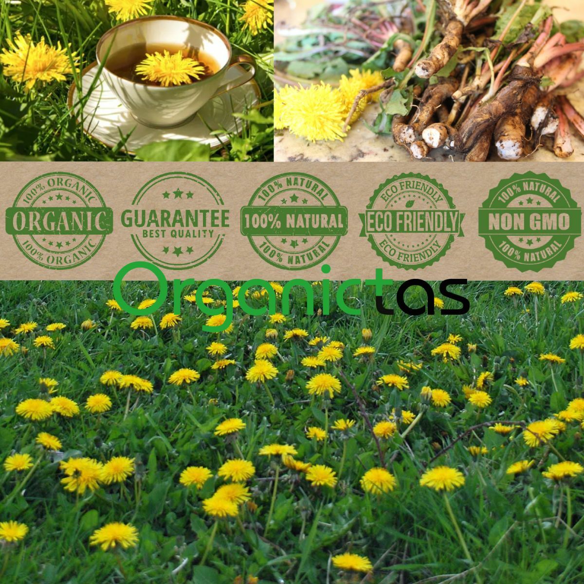 DANDELION ROOT Organic Premium Quality Tea Cut Taraxacum Officinalis 25-200g BIO