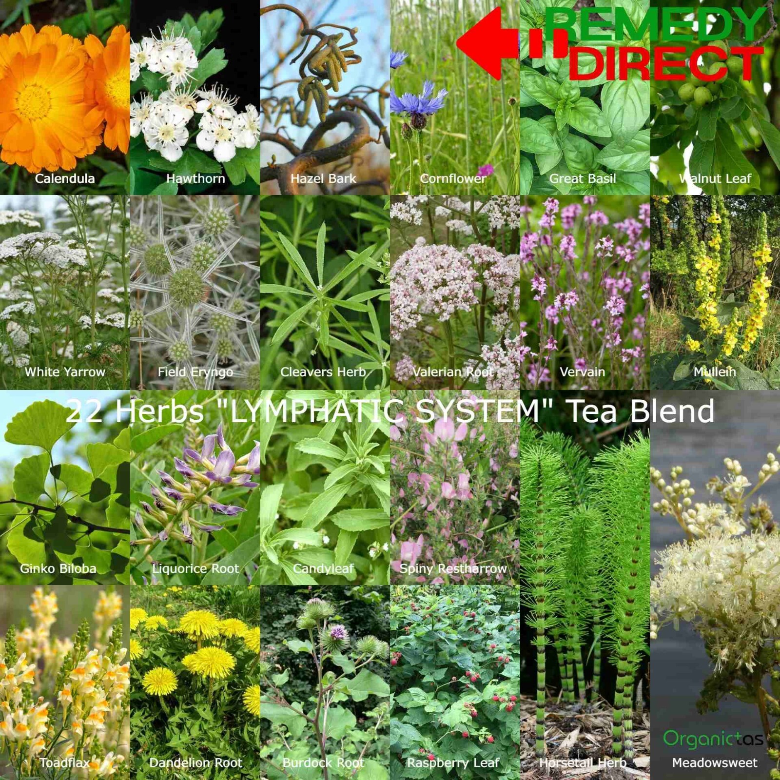 LYMPH SYSTEM TEA 22 Herb Recipe Formula Natural Lymphatic System Support Cleanse
