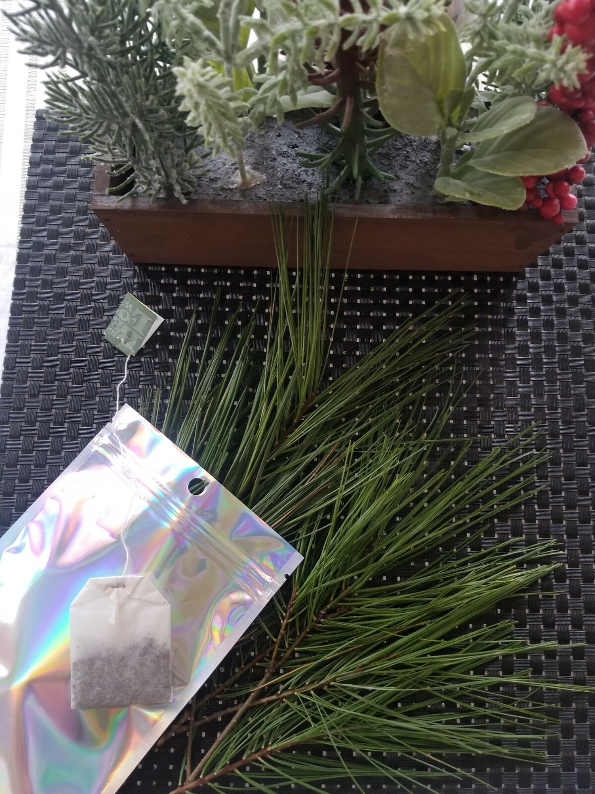 Eastern Pine Tree Tea 🍵 Immunity Boosting /Actively Fights against Infections/