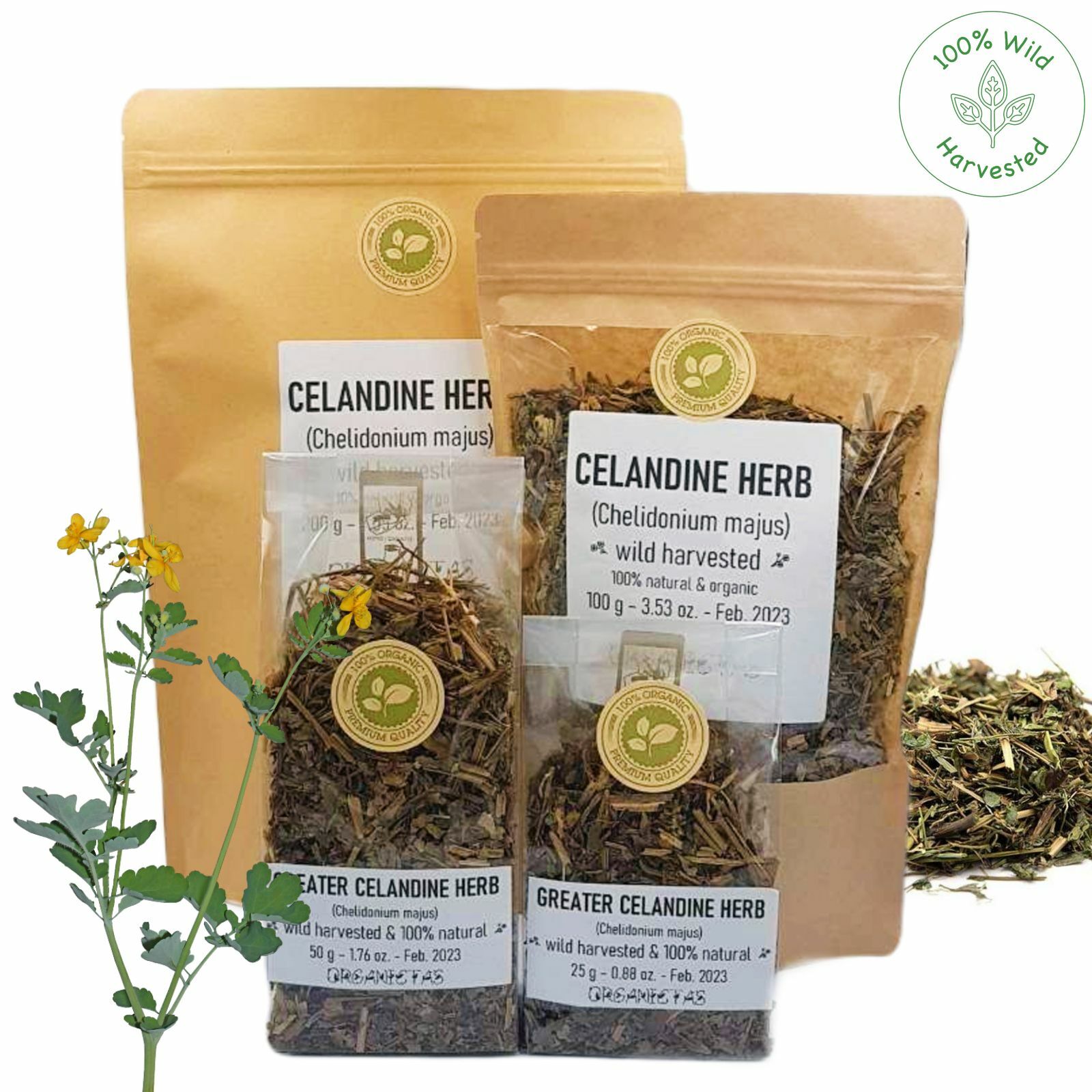 Greater CELANDINE Herbal Tea Organic Premium Quality Dried Loose Herb 50-200g