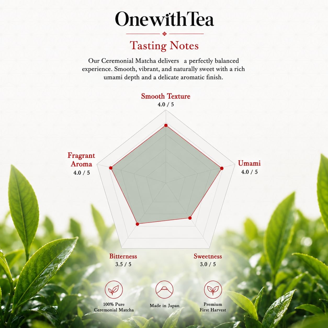 Organic Ceremonial Matcha Powder, Stone-Ground Japanese Green Tea, Premium Gr…