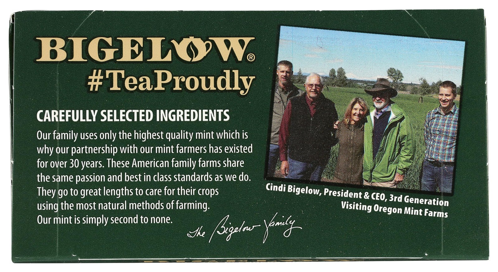 Bigelow Tea Green with Mint, 20 ct 20 Count (Pack of 1)