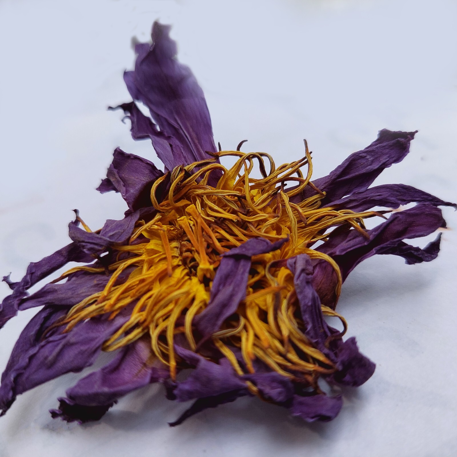 Blue Lotus (Nymphaea Caerulea) Flower Tea Cut 100% Organic Natural Herbal Tea