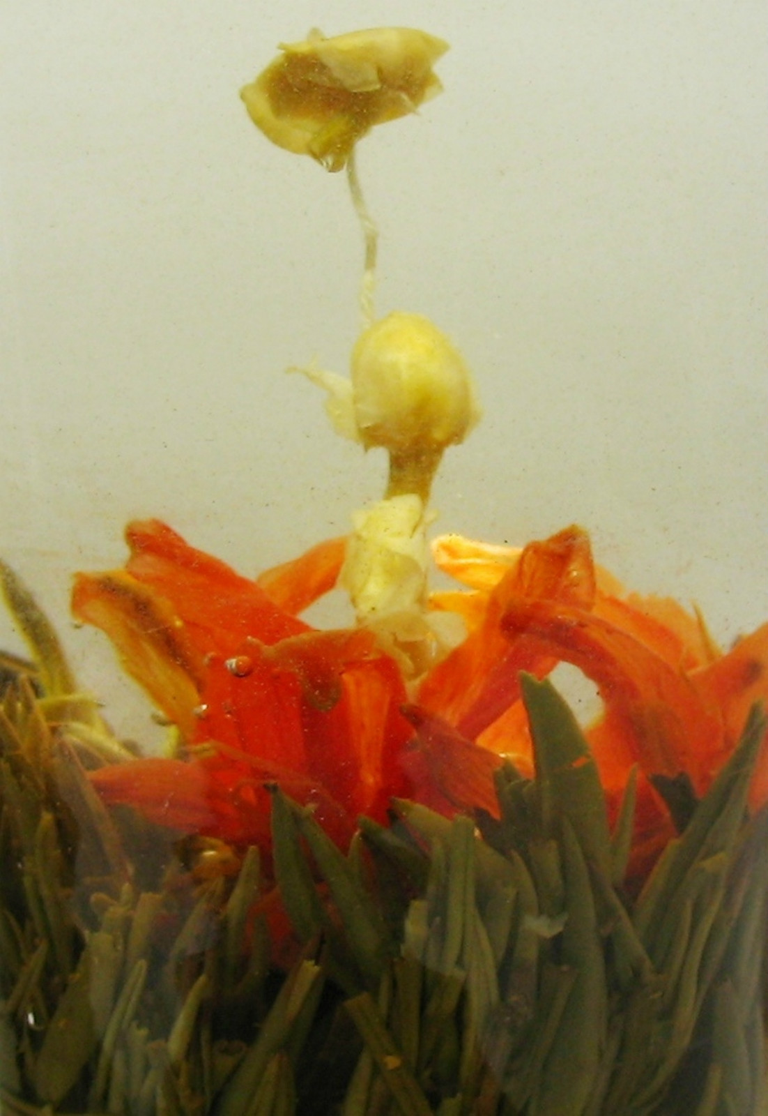 Fairy Lily Blooming Tea Green Tea Flower Tea 24 PCS In A Bag