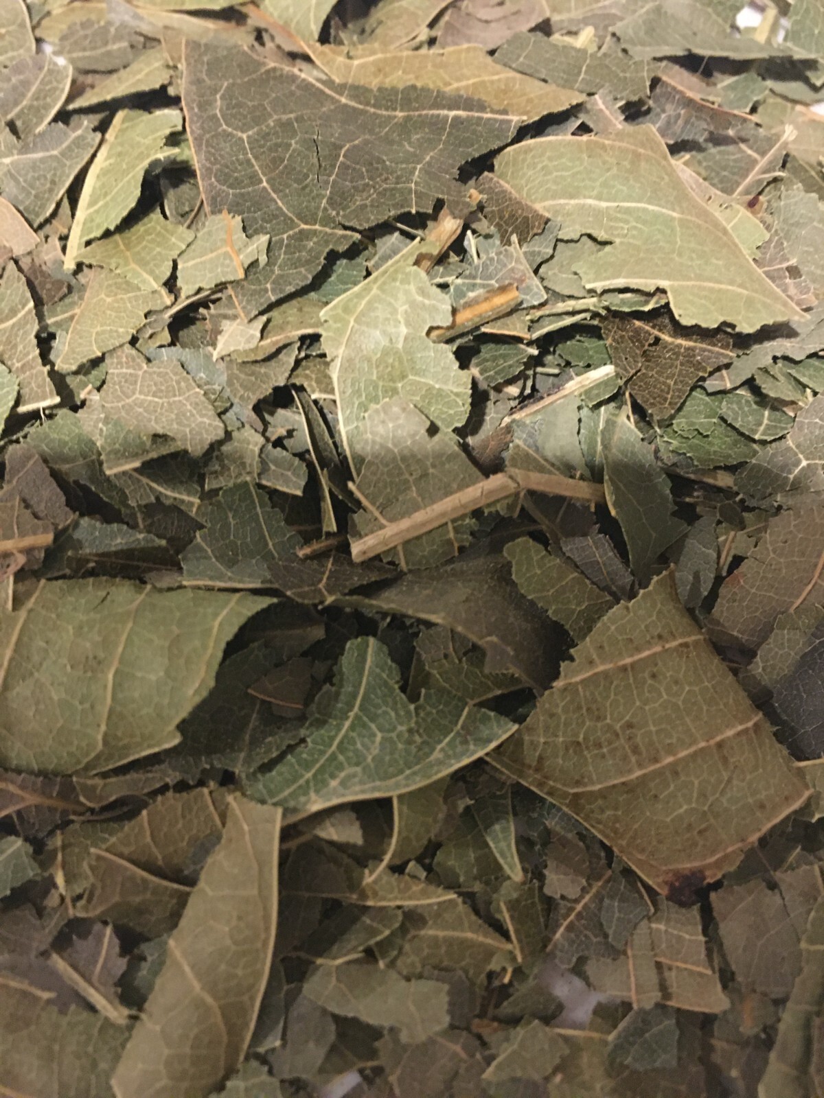 Mango Leaf & Avocado Leaf Herbal Tea 100% Organic Florida Grown USA
