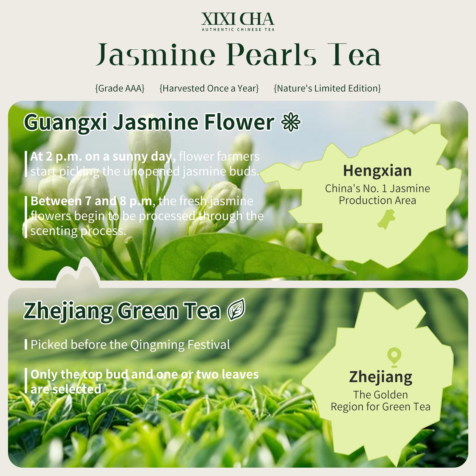 XIXICHA Jasmine Pearls Tea Jasmine Green Loose Leaf Dragon Balls Grade AAA 5….