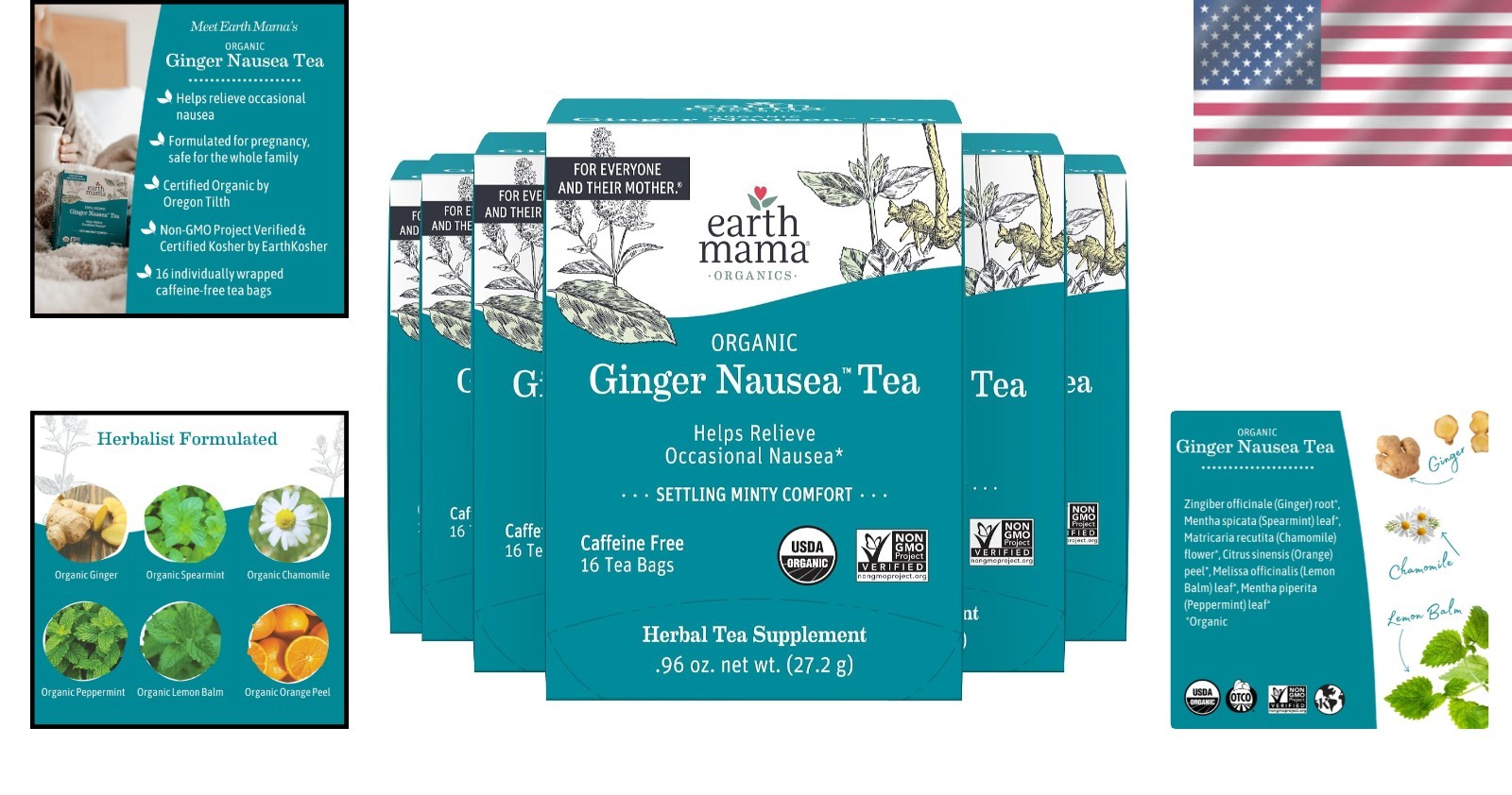 Caffeine-Free Ginger Nausea Tea | Herbal Blend for Digestion