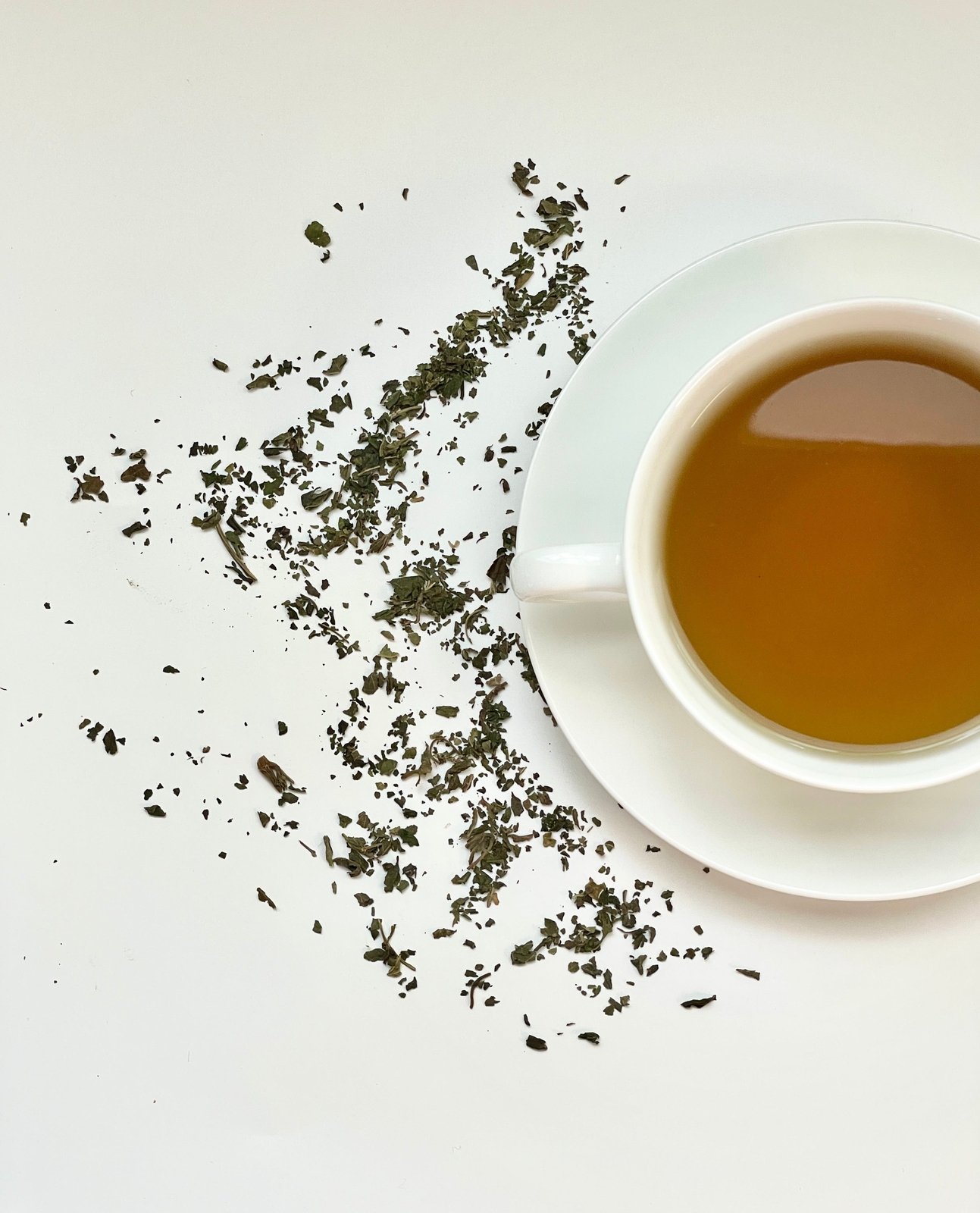 Nettle Leaf Tea by Palm Beach Herbals | 30ct, Caffeine-Free