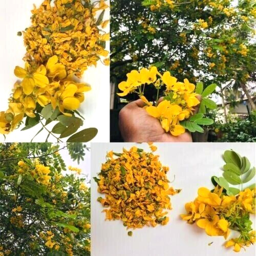 Ranawara Mal Herbal Tea cassia auriculata Natural Ceylon Drink