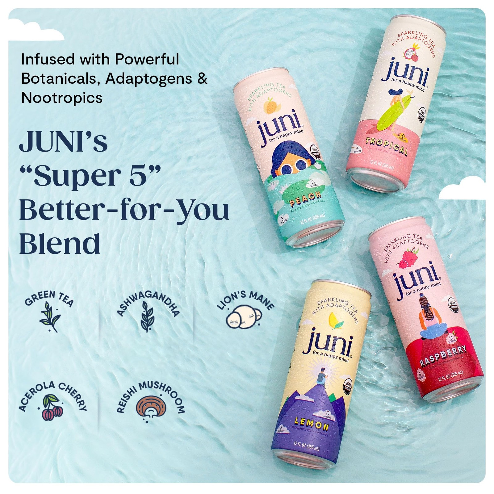 Sparkling Adaptogen Drink with Ashwagandha, Lion’s Mane & Reishi Mushrooms | …