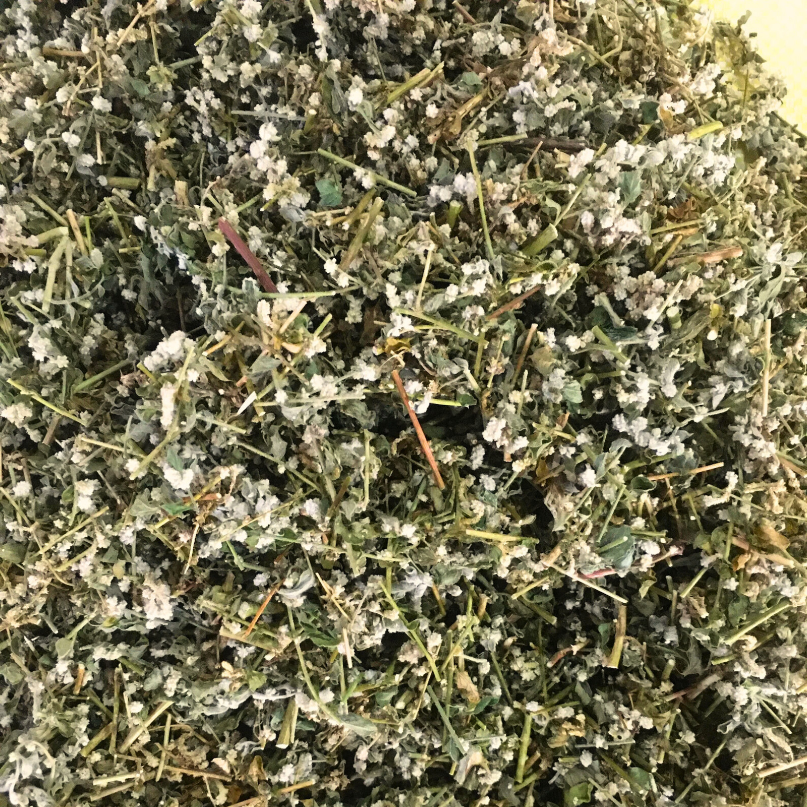 Ceylon Polpala Herbal Tea (Aerva Lanata) 100% Organic Natural Dried Leaves 1000g