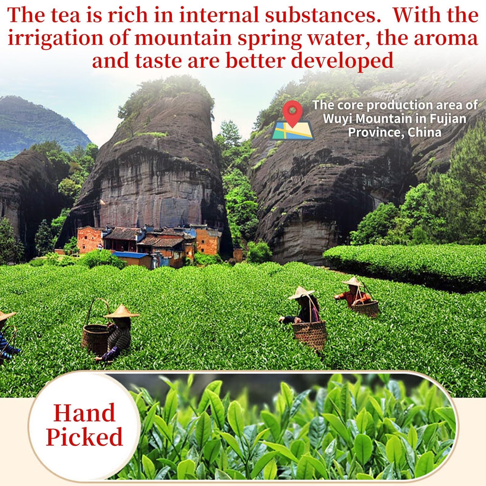XIXICHA Dahongpao Oolong Tea Rock Tea 80g/2.82oz 8g*10bags Chinese Loose leaf…