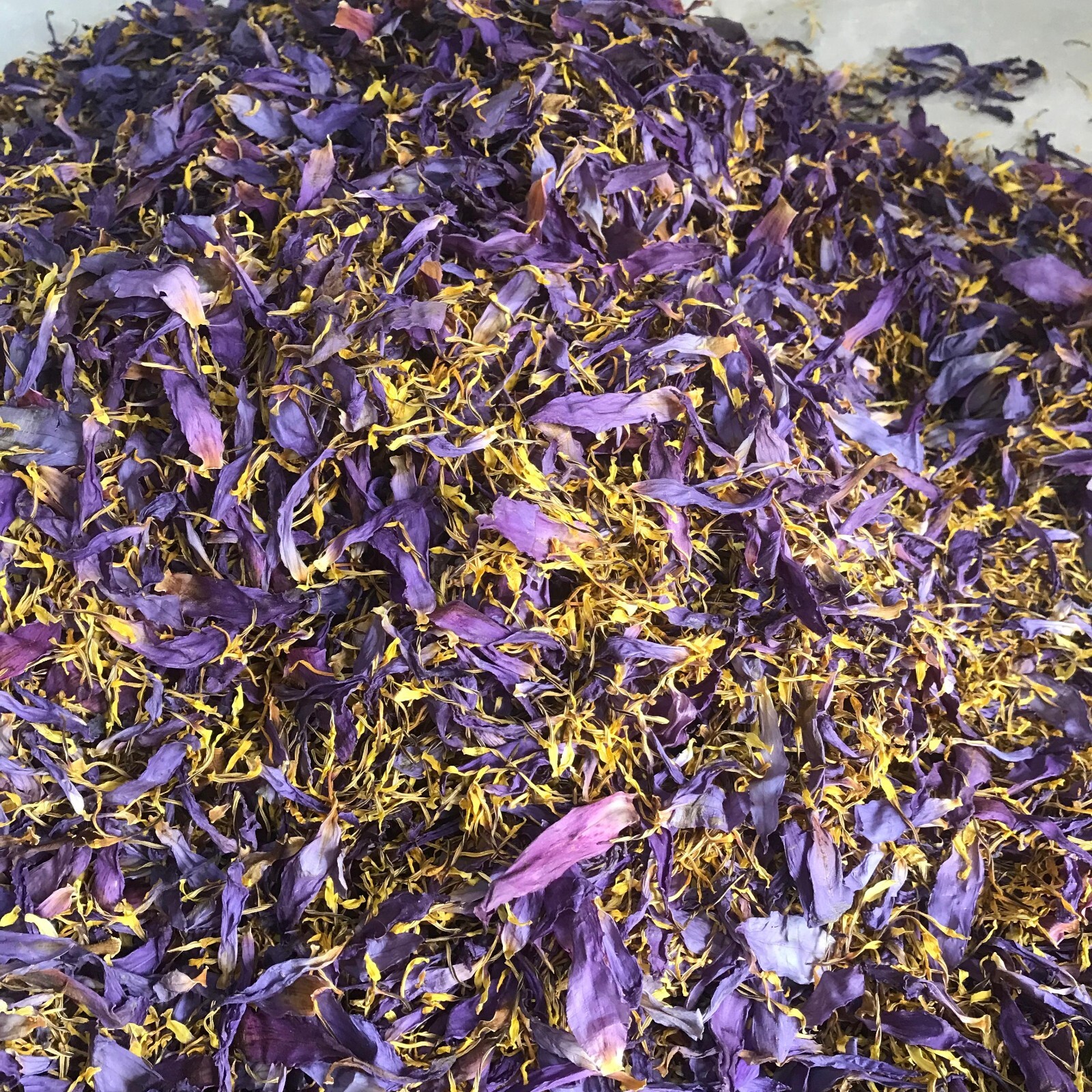 Blue Lotus Petal Stamens Natural Nymphaea Caerulea Flowers Egyptian Organic Tea