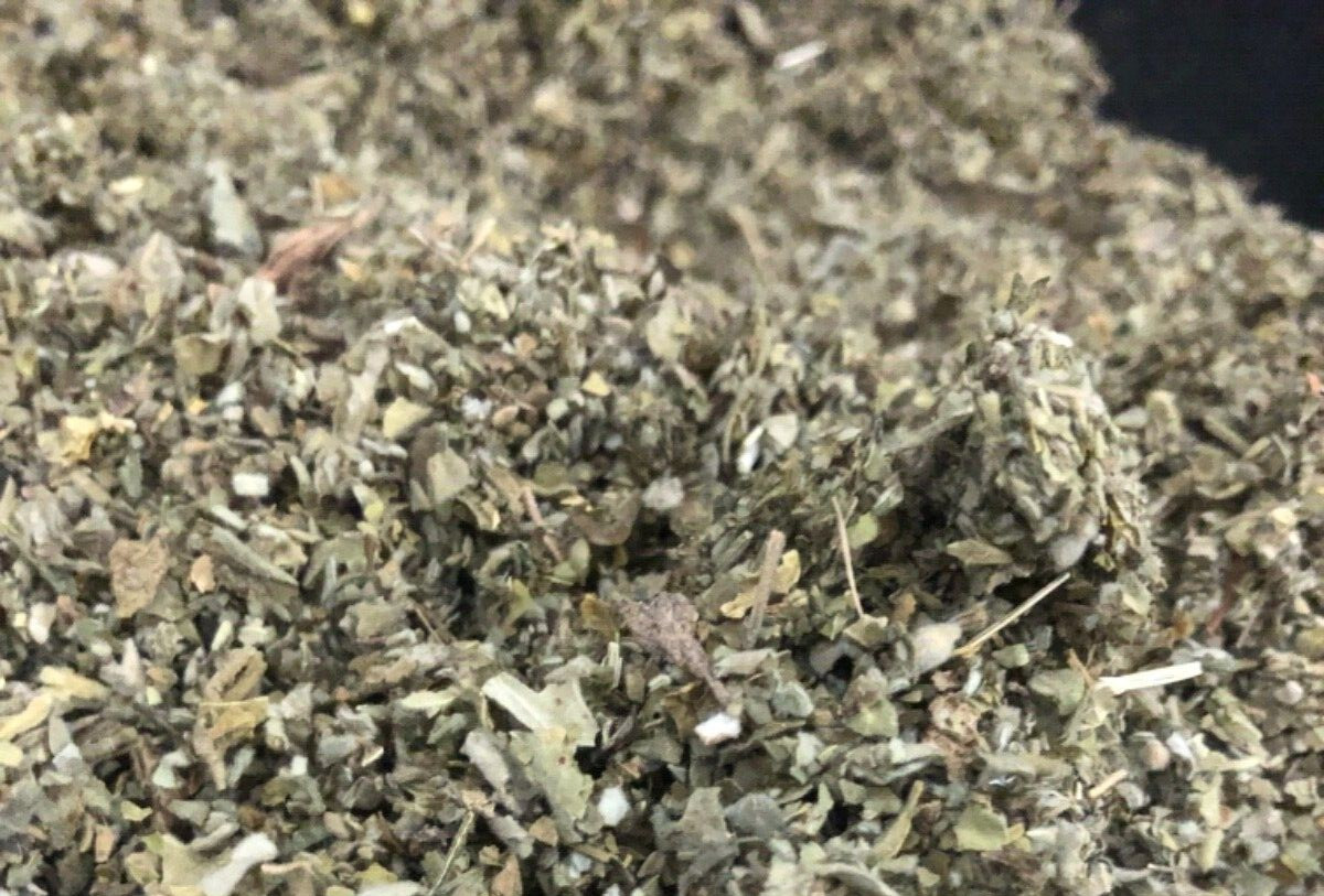 DAMIANA c/s ORGANIC botanical natural herb wild crafted cut leaf – 1 lb (16 oz)