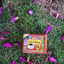 Ginger Tea, 24 Tea Bags, Herbal, Natural, Caffeine Ginger Tea From Jamaica