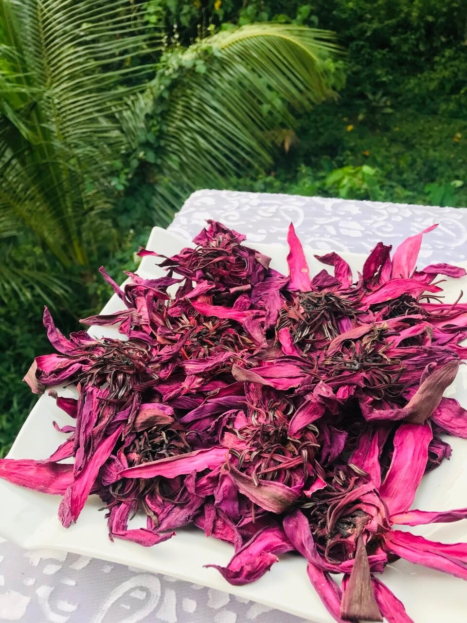 Dried Ceylon Red Lotus Flower Nelumbo Nucifera Pure Organic Hand Pick Herbal Tea