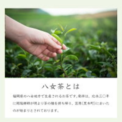 Yame Matcha Green Tea Powder 300g Premium Matcha Tea from Fukuoka JPN