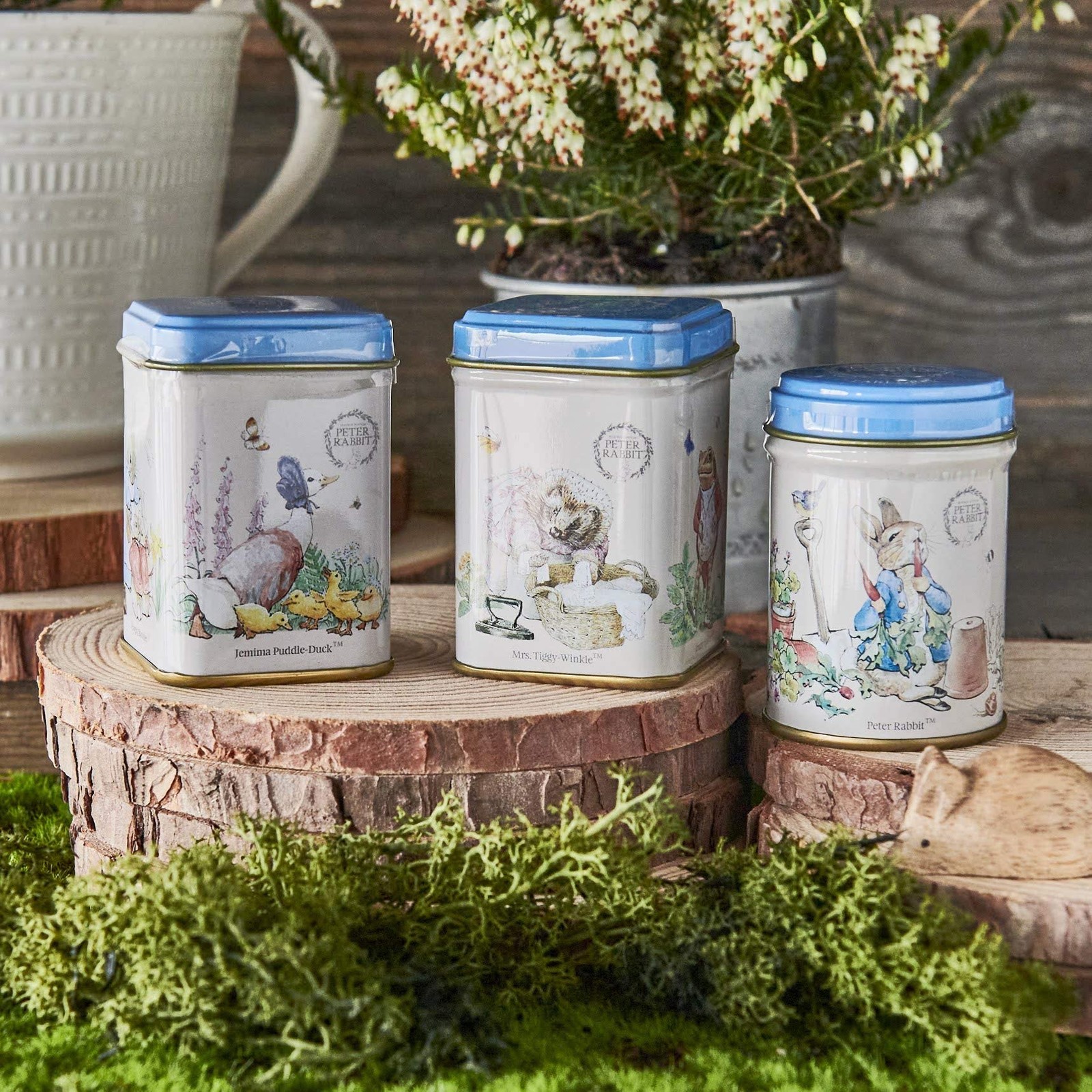 Beatrix Potter Mini Tea Tins 3 Piece Assortment With Loose English Tea