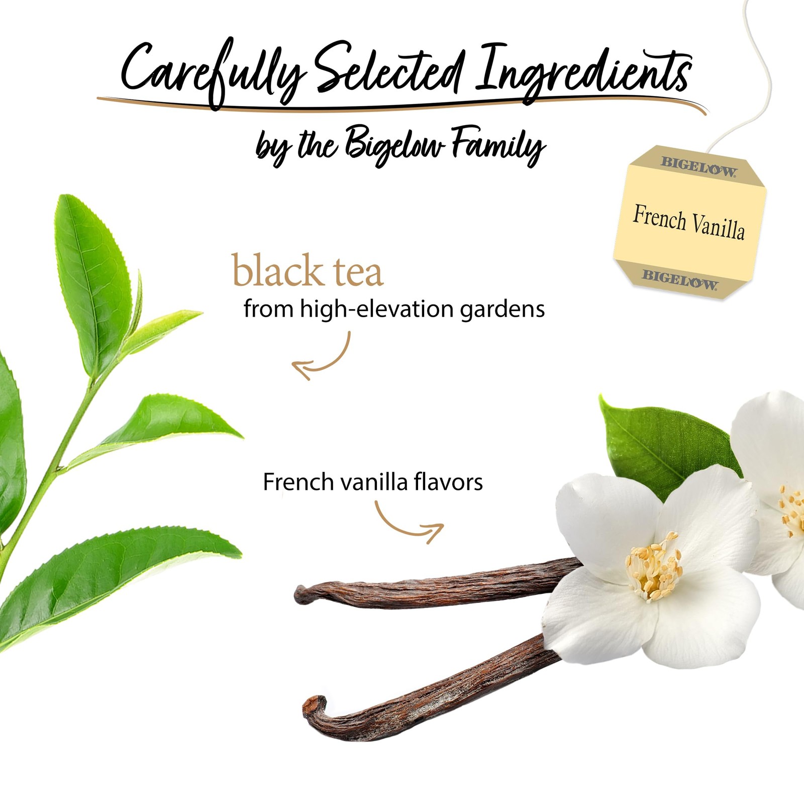 Bigelow French Vanilla Black Tea Bags, 20 Count Box (Pack of 6), Caffeinated