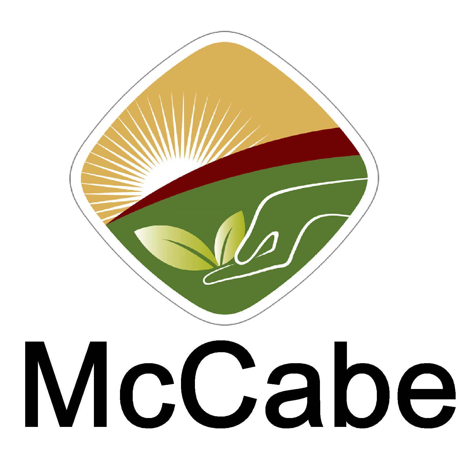 McCabe Organic Black Bean Tea – Roasted Black Beans Tea | USDA and CCOF Certifie