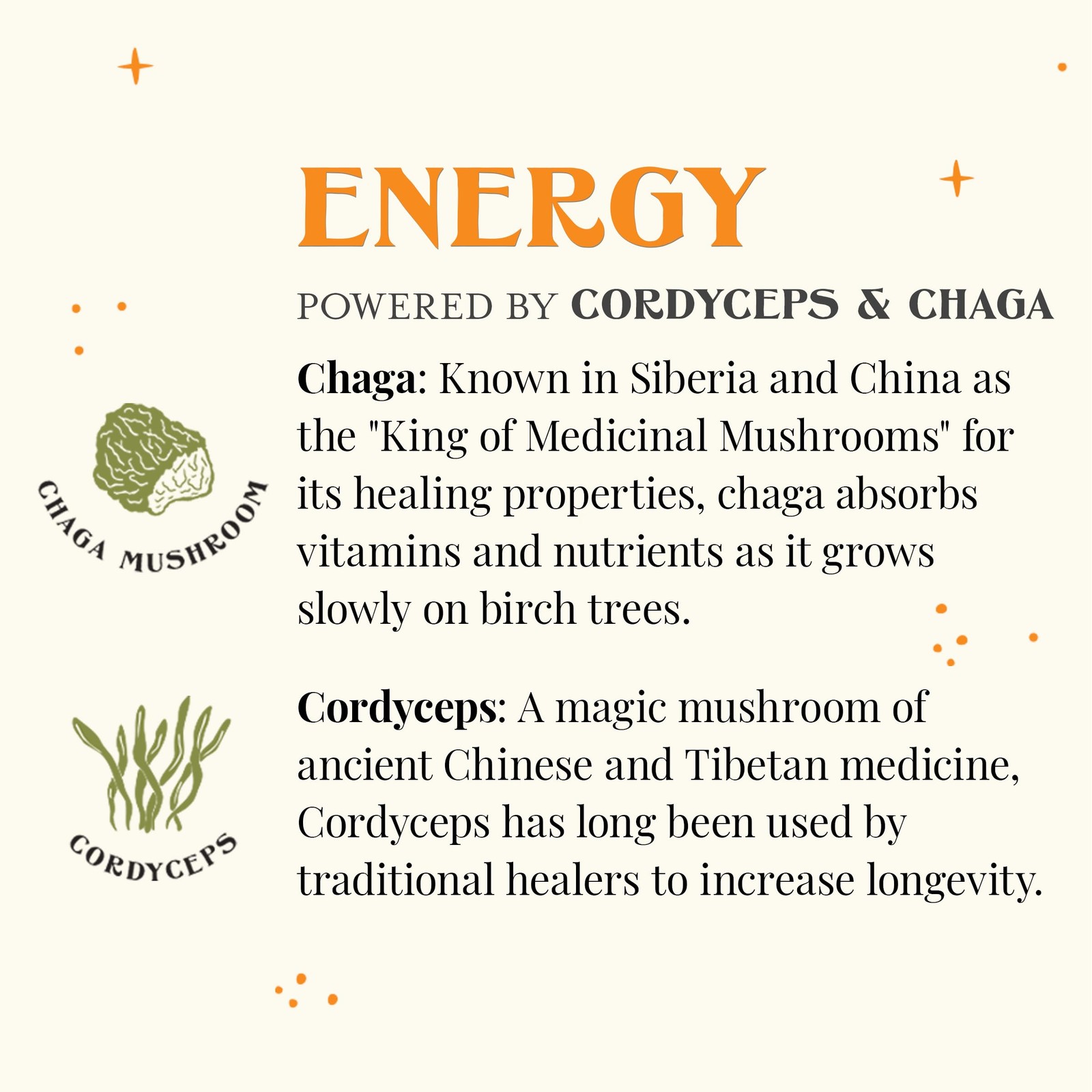 SuperShroom Energy Cordyceps and Chaga Herbal Tea, Organic Cinnamon, Ginger a…