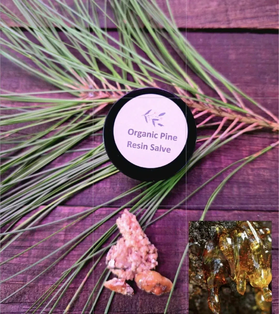 Wild Harvested Organic Pine Resin Salve