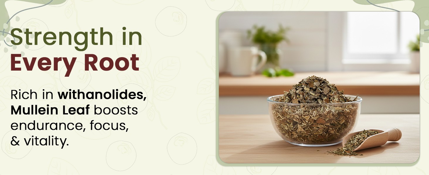 Mullein Leaf | Herbal Tea (Verbascum thapsus) Cut & Sifted – European