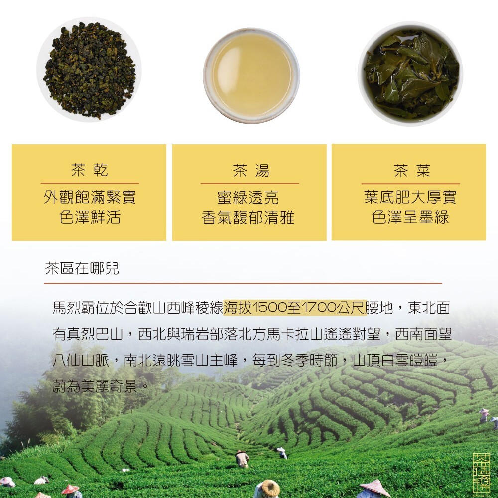 台灣特色茶 梨山馬烈霸冷甜厚實烏龍茶 75gx4