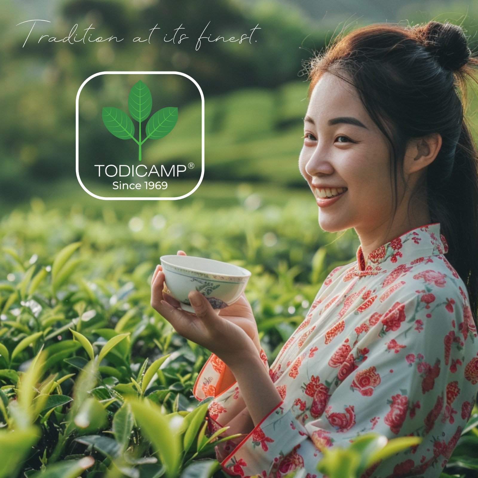 TODICAMP White Tea Organic Silver Needle Tea – 3 Oz