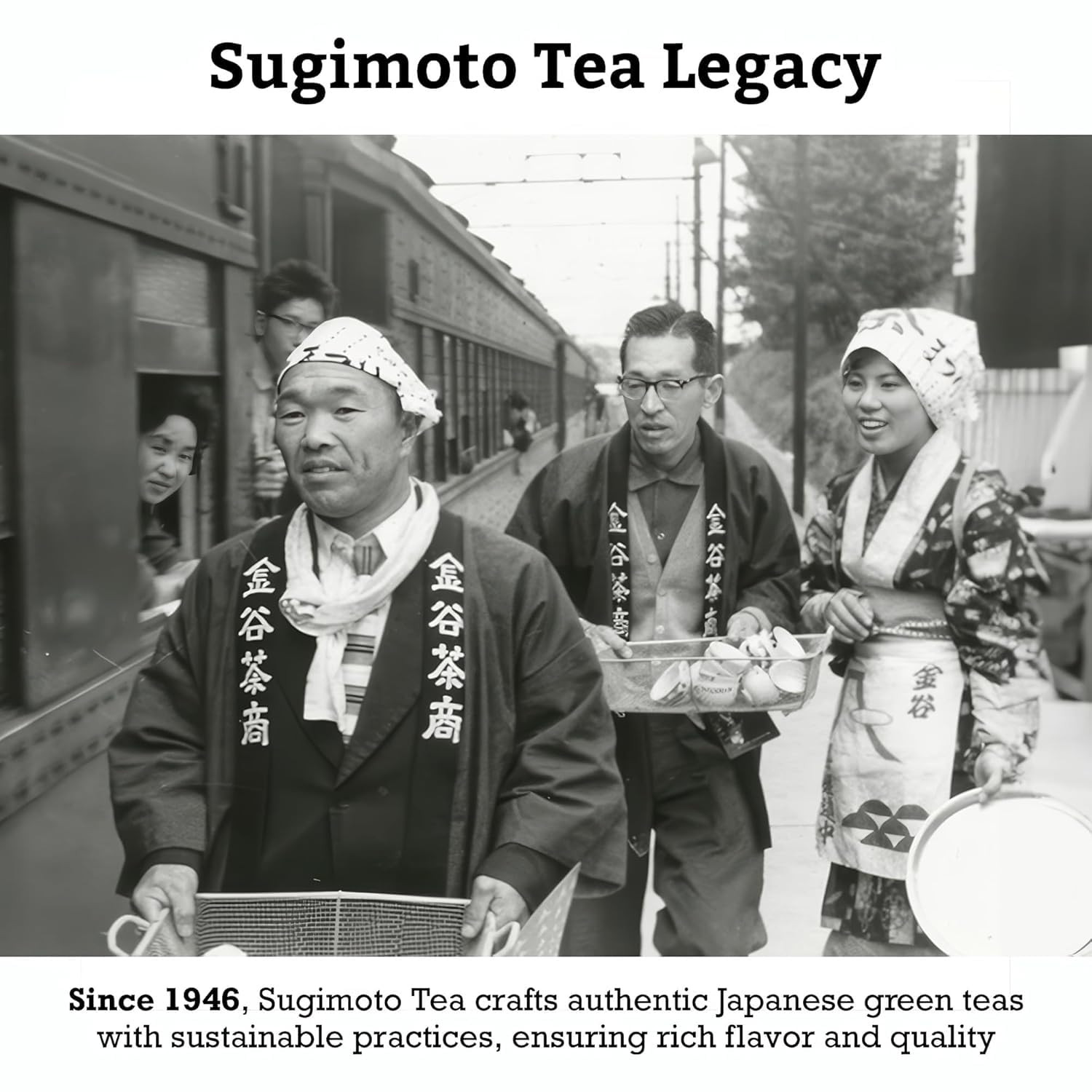 SUGIMOTO TEA Japanese Organic Genmaicha with Matcha Green Tea Bags 12 Count