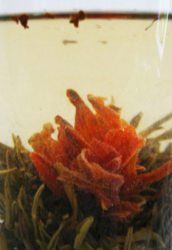 Lily Blooming Tea White Tea 12 PCS in a bag in gift box