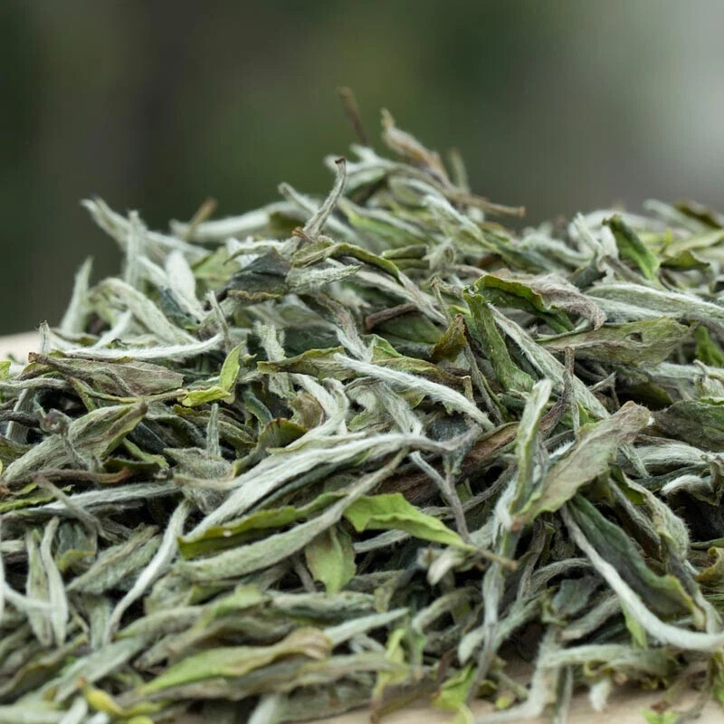 1000g FuDing High Mountain Bai Mu Dan White Tea Aged White Peony Pai Mu Tan tea