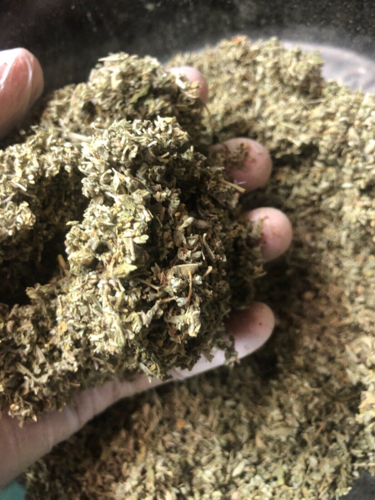 HIGH quality Herb DAMIANA leaf cut sifted c/s wild crafted ORGANIC 2lb Free ship