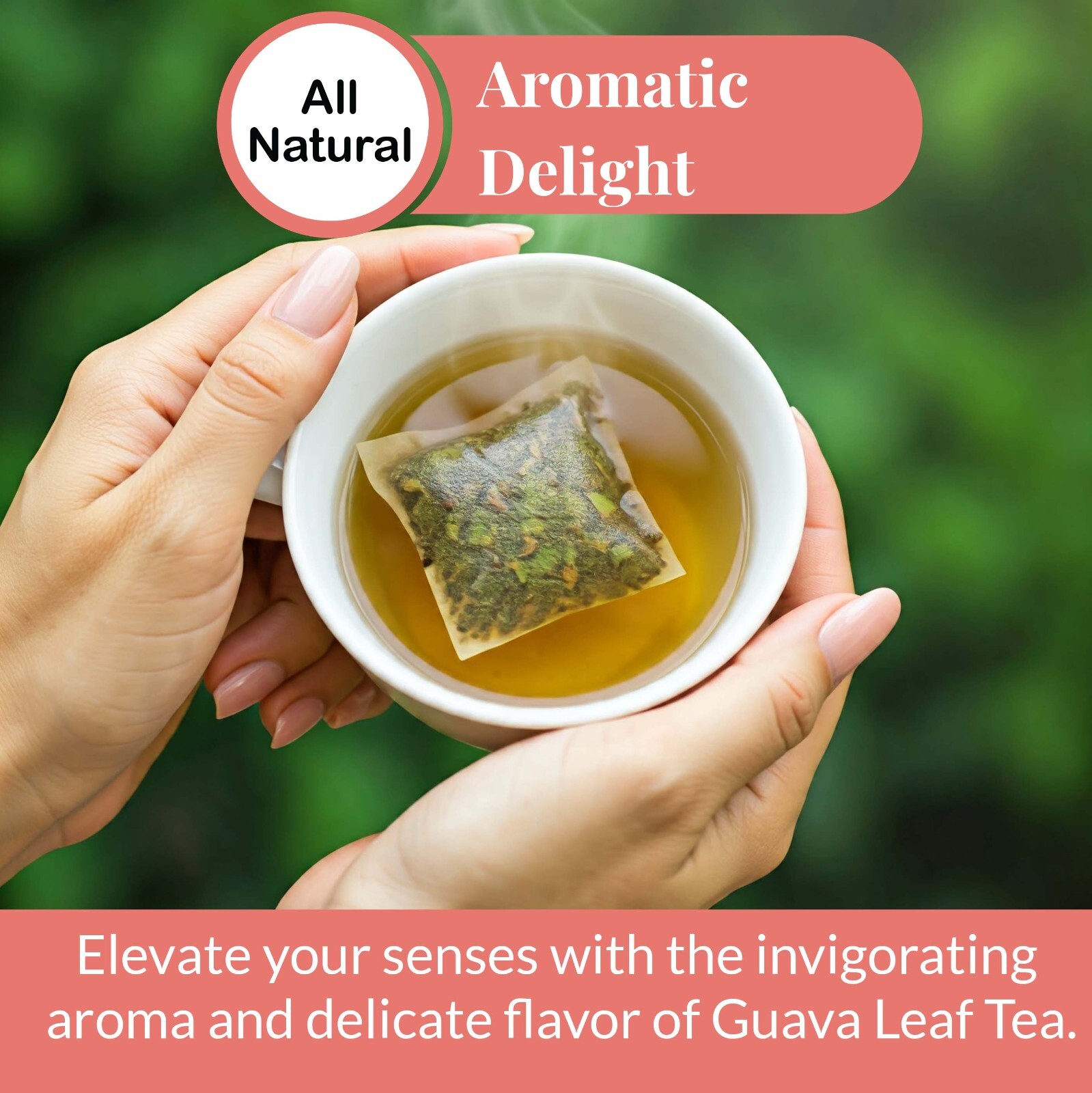 150 Organic Guava Leaf Tea Bags, Pure Guava Leaves Tea, Te de Hojas De Guayaba