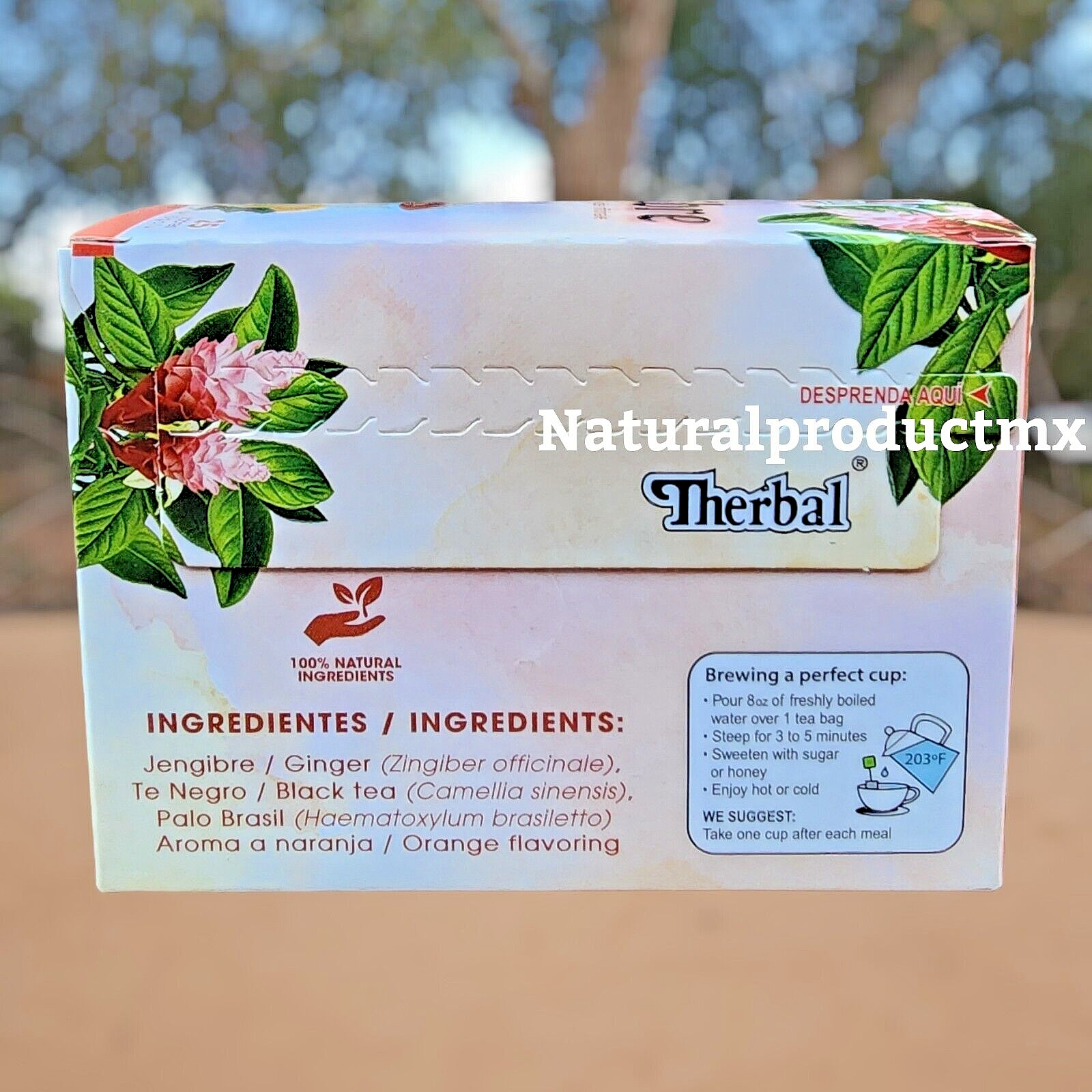 Ginger Herbal Tea ✅ (Te de Jengibre) 25 Tea Bags All Natural by Therbal