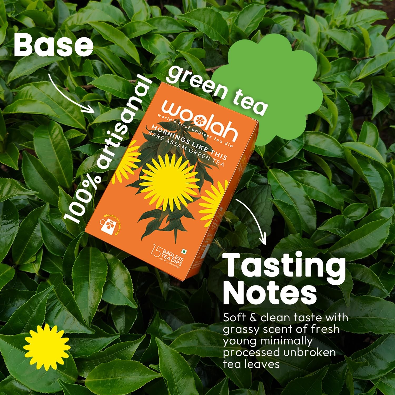 Woolah Assam Green Tea Organic Plastic Free 30 Dips 60 Cups