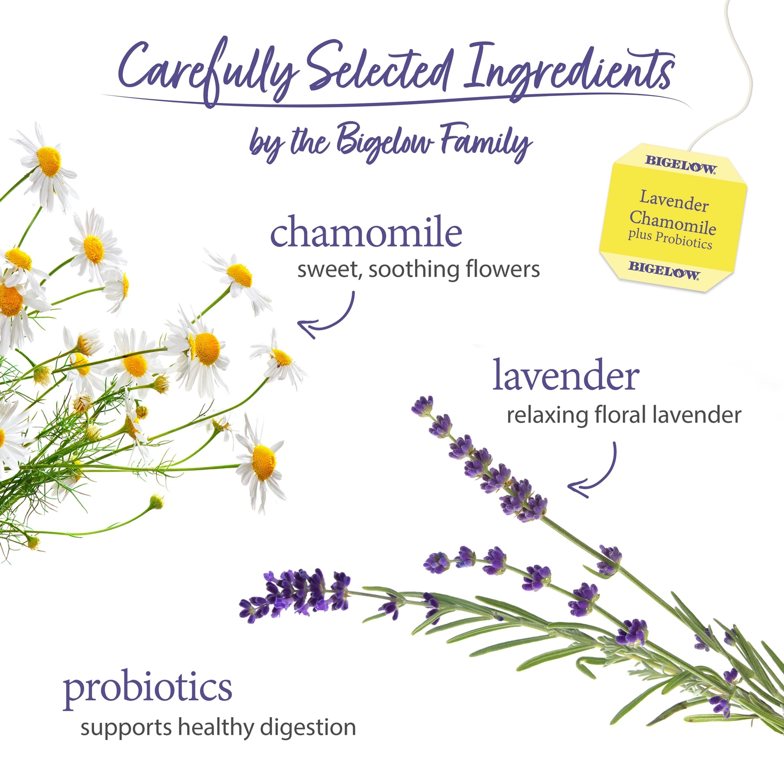 Bigelow Lavender Chamomile Probiotic Tea Bags Pack of 6 18 Count Herbal Tea