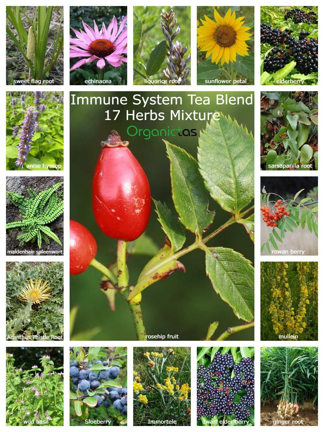 17 Herbs IMMUNE SYSTEM BOOSTER TEA – Immune Support Loose Natural & Organic Tea