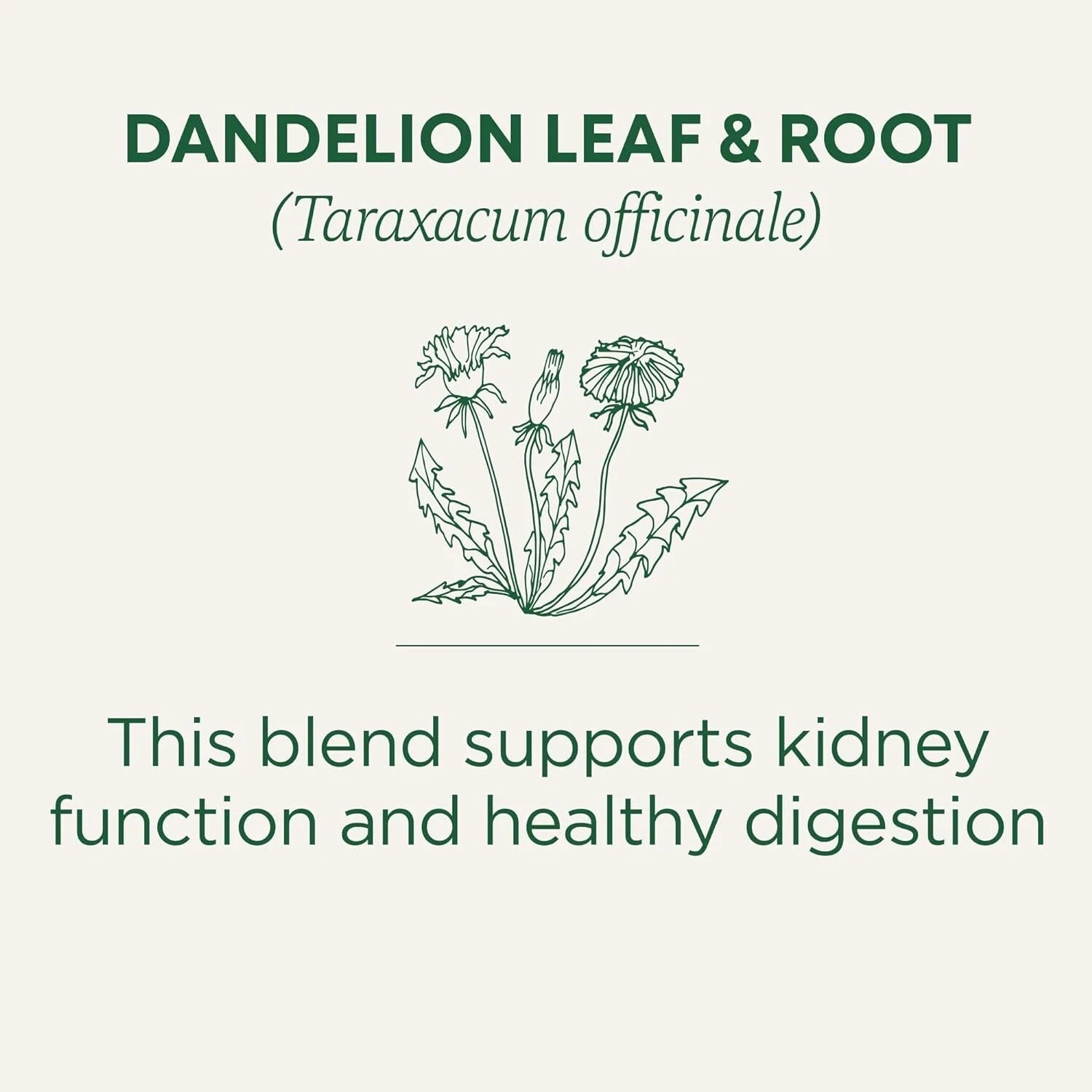 Dandelion Leaf & Root Tea 16 Bag