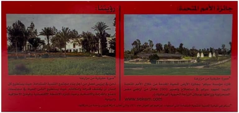 ISIS Egyptian Peppermint Tea 2X50 Bags 100%Natural ايزيس نعناع( 2Packs X50 Bags)