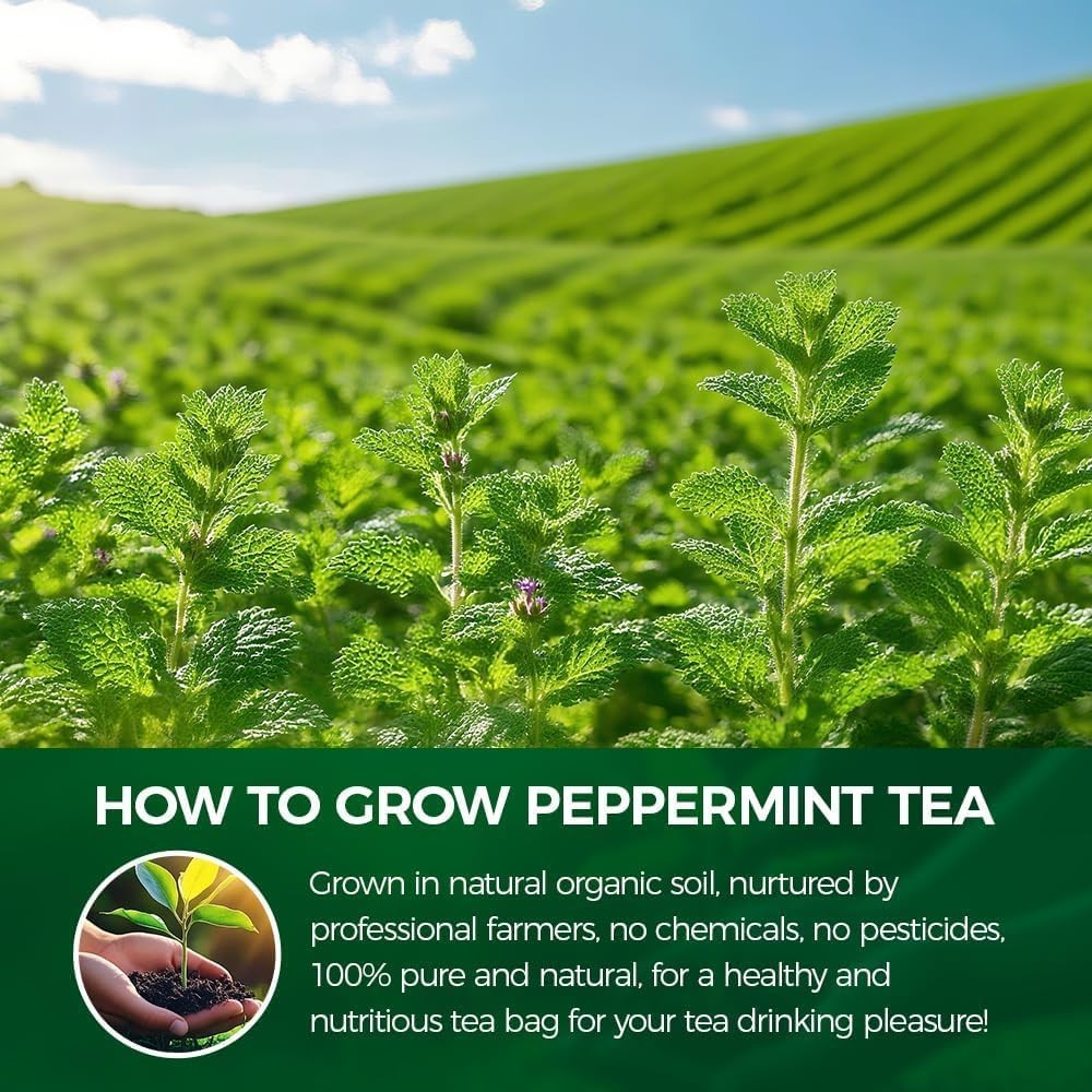 Natural Peppermint Tea 180g.120 Herbal Tea 100% Natural Peppermint Leaves.Non…