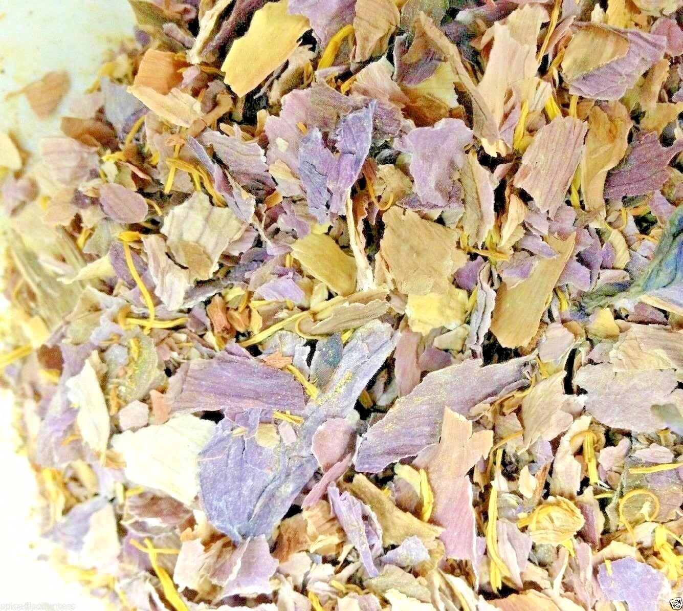 Nelumbo Nucifera Thai Sacred Water Lily – Pink Lotus Flowers Spice Discounters