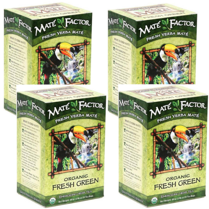 Organic Yerba Mate – Energizing Herb Tea Fresh Green 24 pckts Each (Pack of 4)