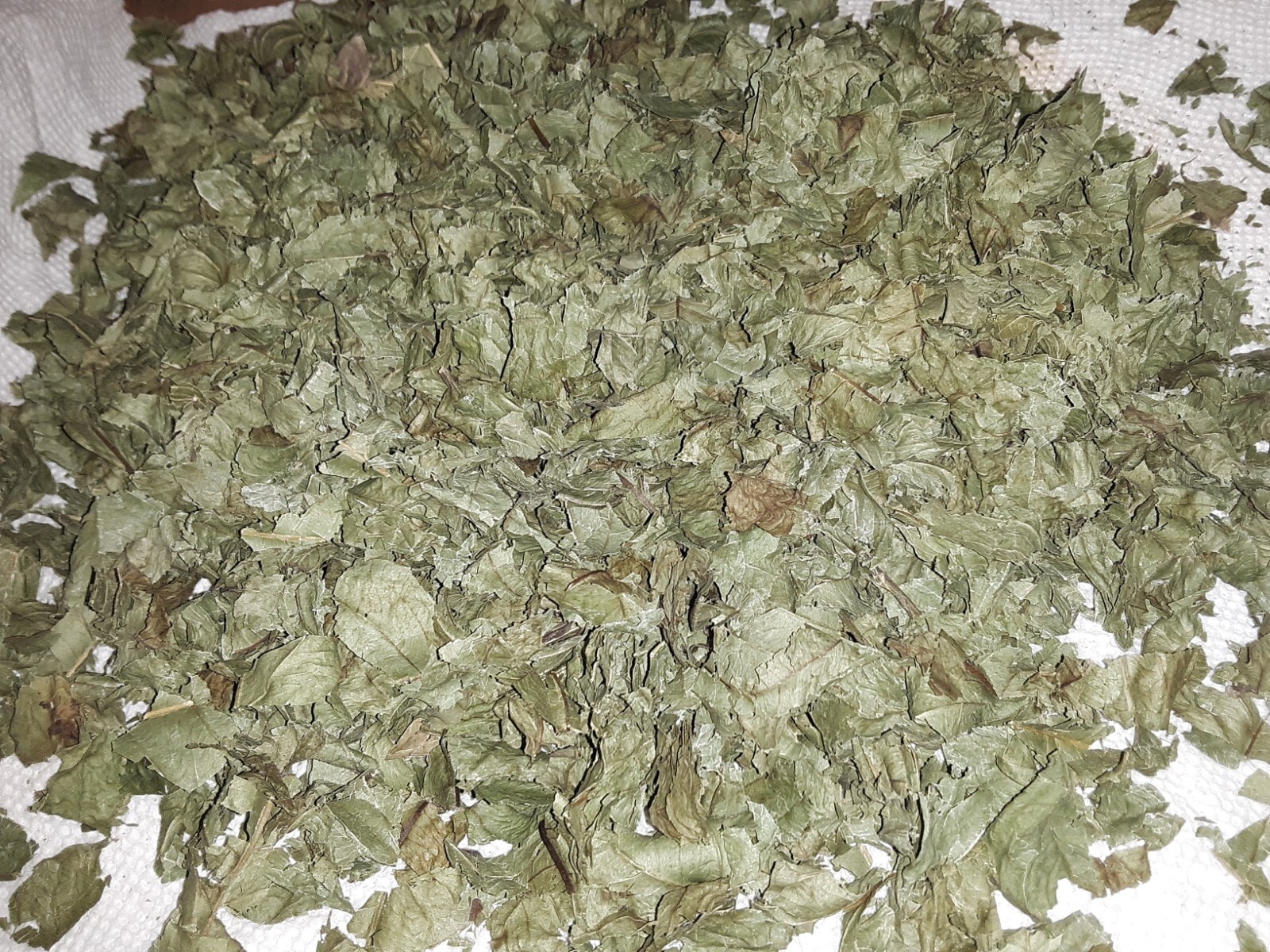 1 Cup Air Dried Guava Leaves; Herbal Tea.US grown.